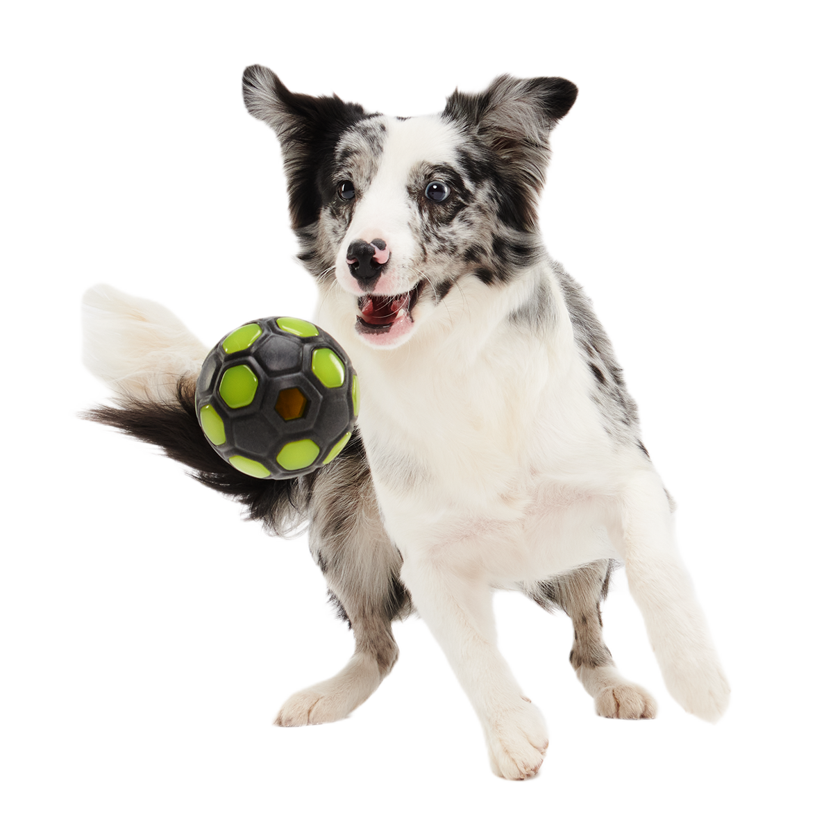 World Pup Snacker Ball Super Chewer Durable Enrichment + Fetch Dog Toy - Image 5