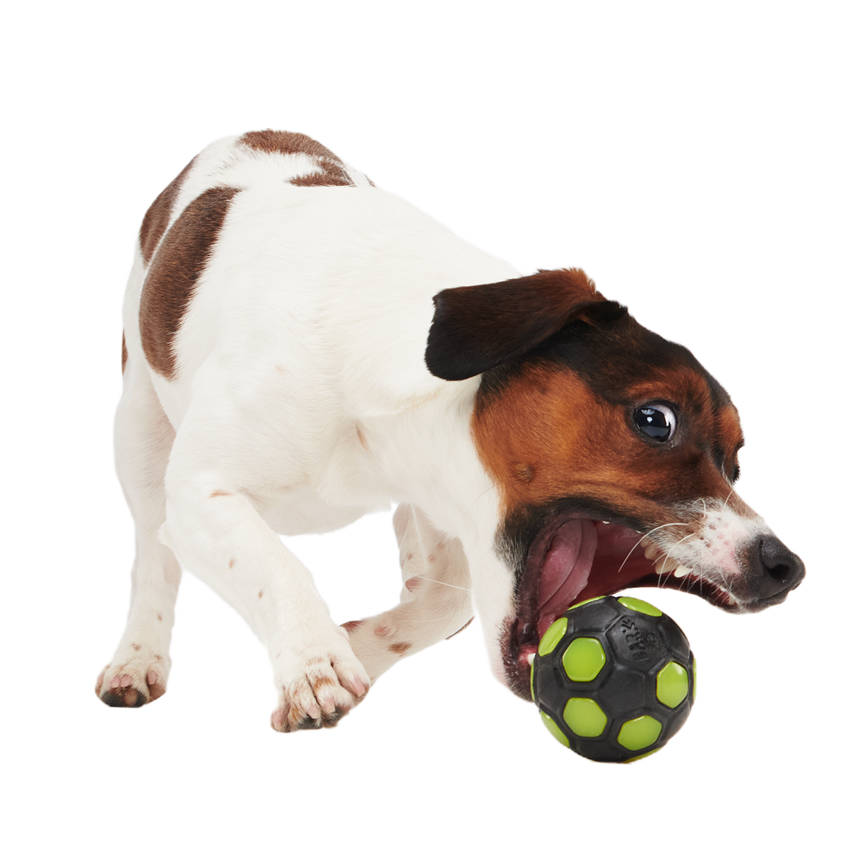 World Pup Snacker Ball Super Chewer Durable Enrichment + Fetch Dog Toy - Image 3