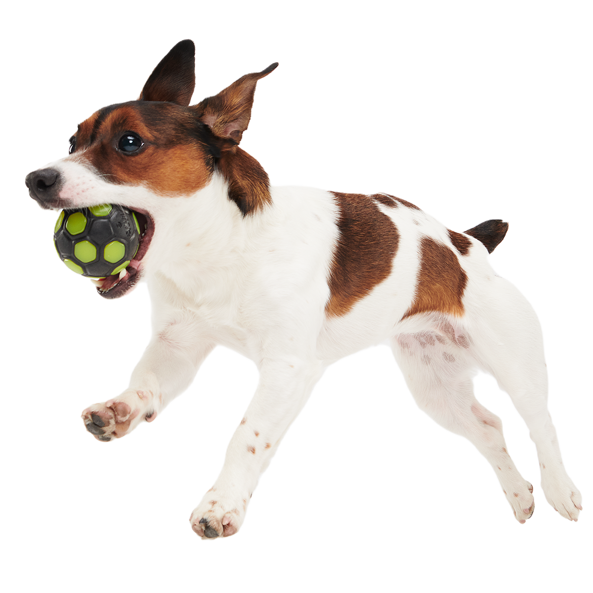 World Pup Snacker Ball Super Chewer Durable Enrichment + Fetch Dog Toy - Image 2
