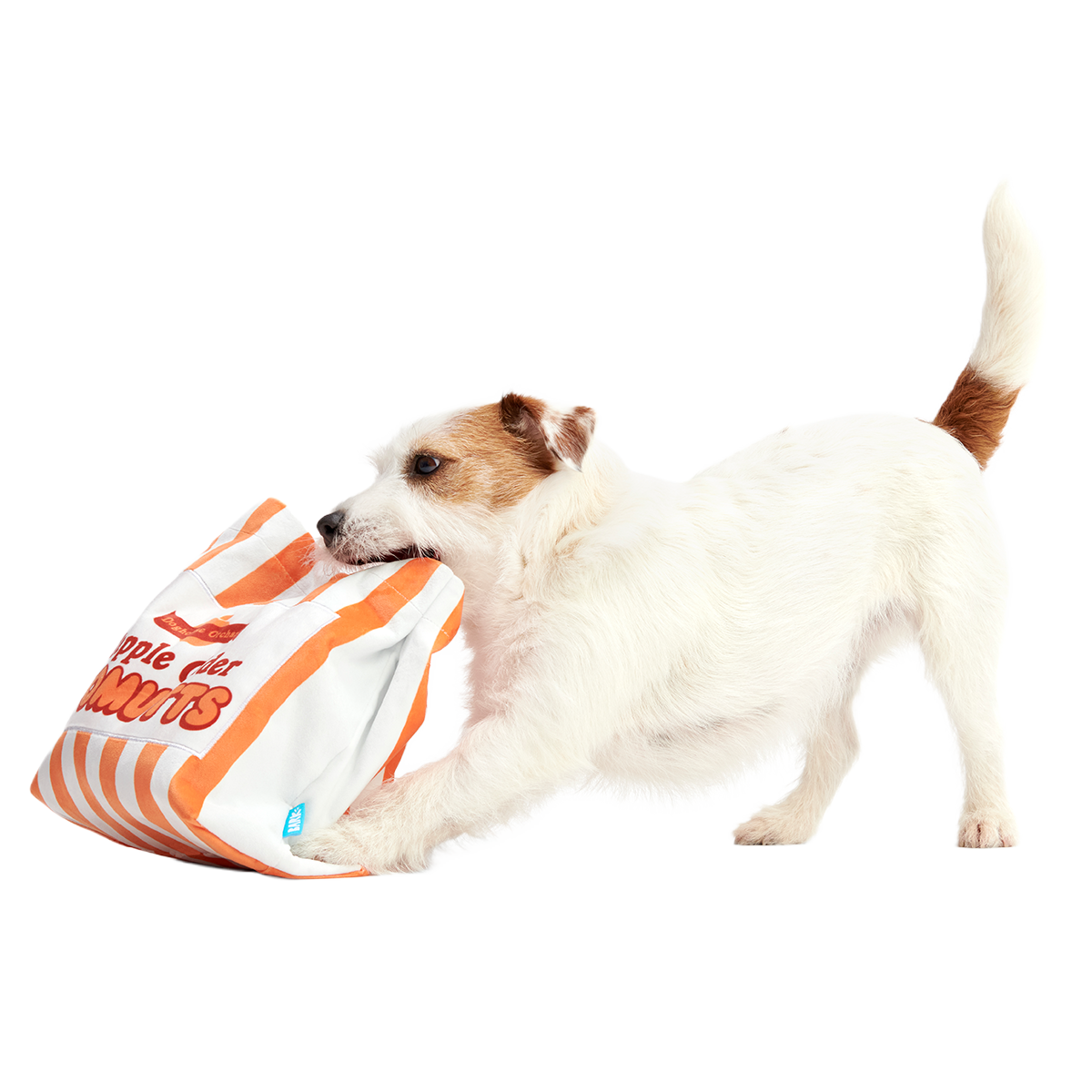 Extra-Large Toy Club. Monthly Plush XL Dog Toys - Image 6