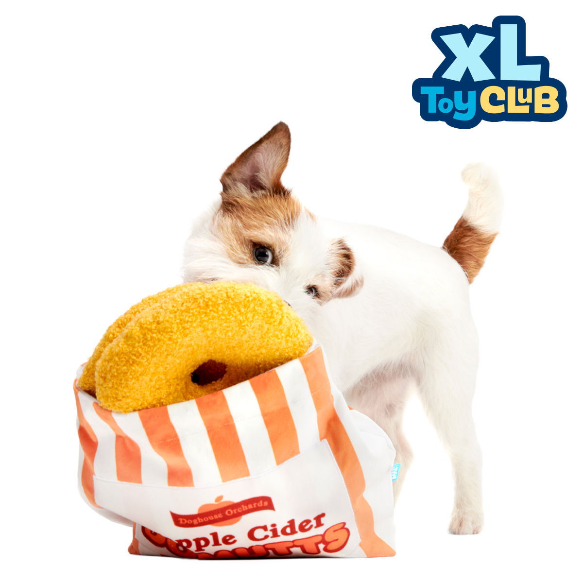 Extra-Large Toy Club. Monthly Plush XL Dog Toys