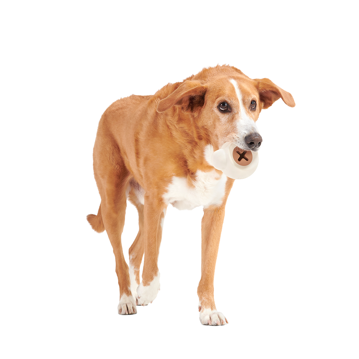Yappucino Super Chewer Durable Enrichment Dog Toy - Image 4