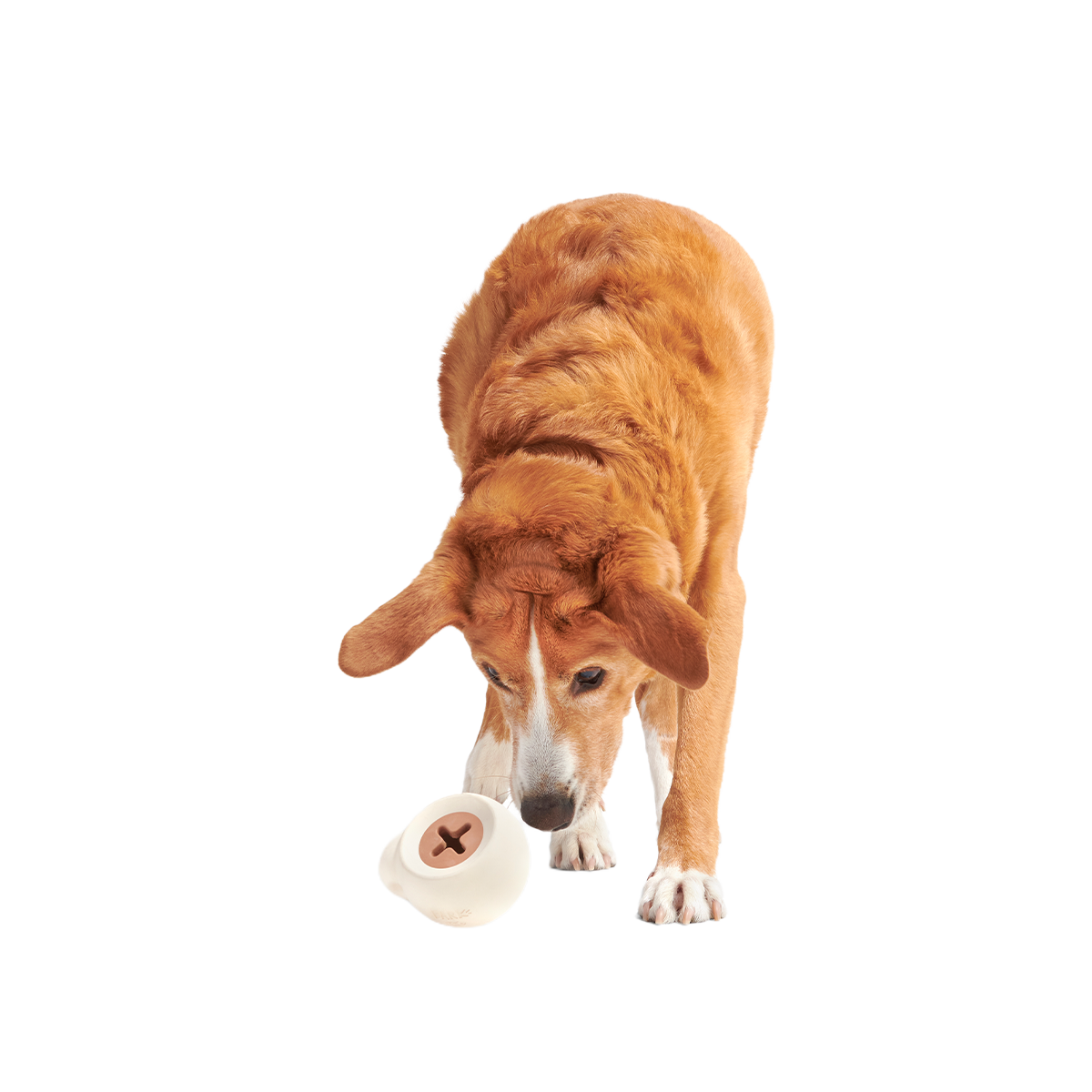 Yappucino Super Chewer Durable Enrichment Dog Toy - Image 3