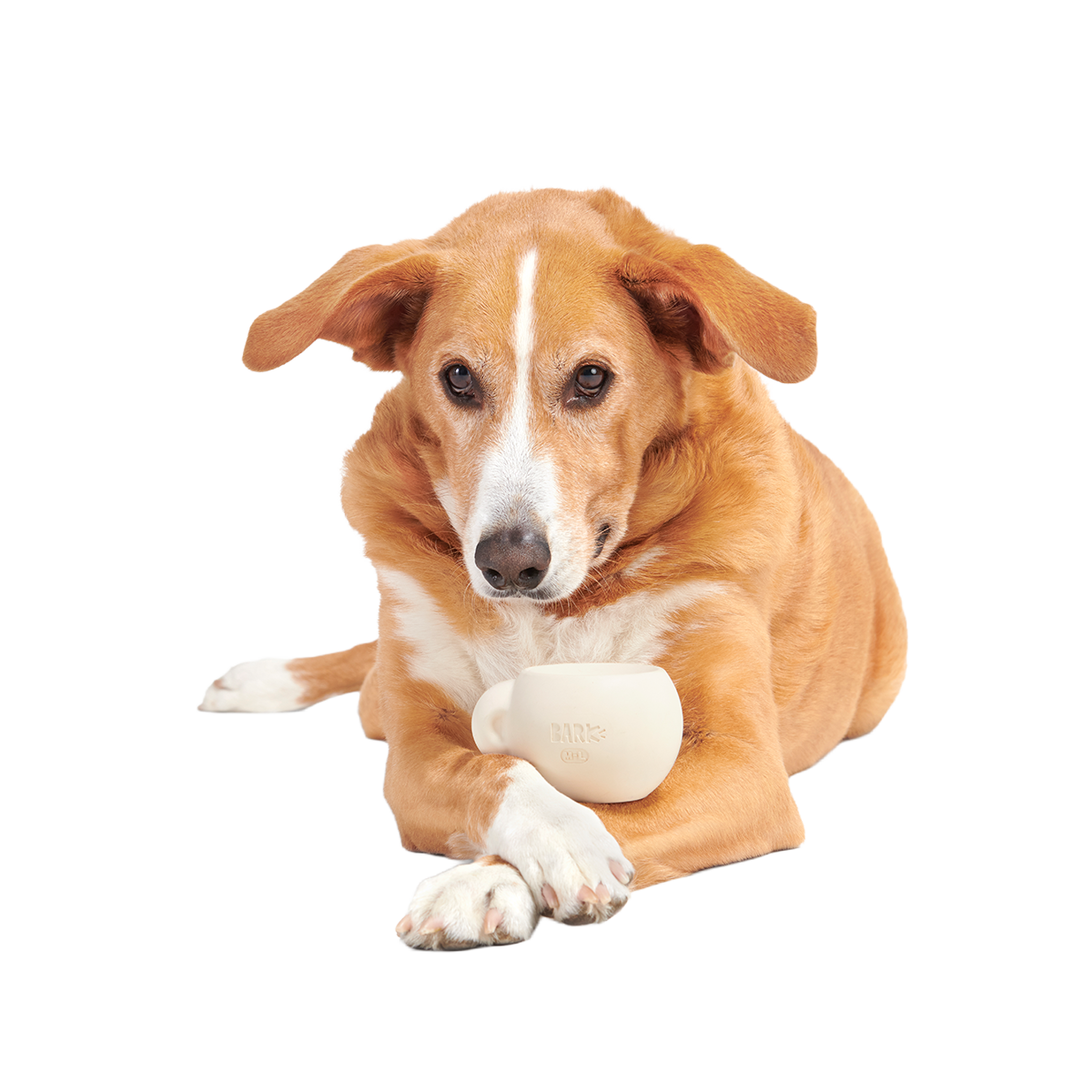 Yappucino Super Chewer Durable Enrichment Dog Toy - Image 2