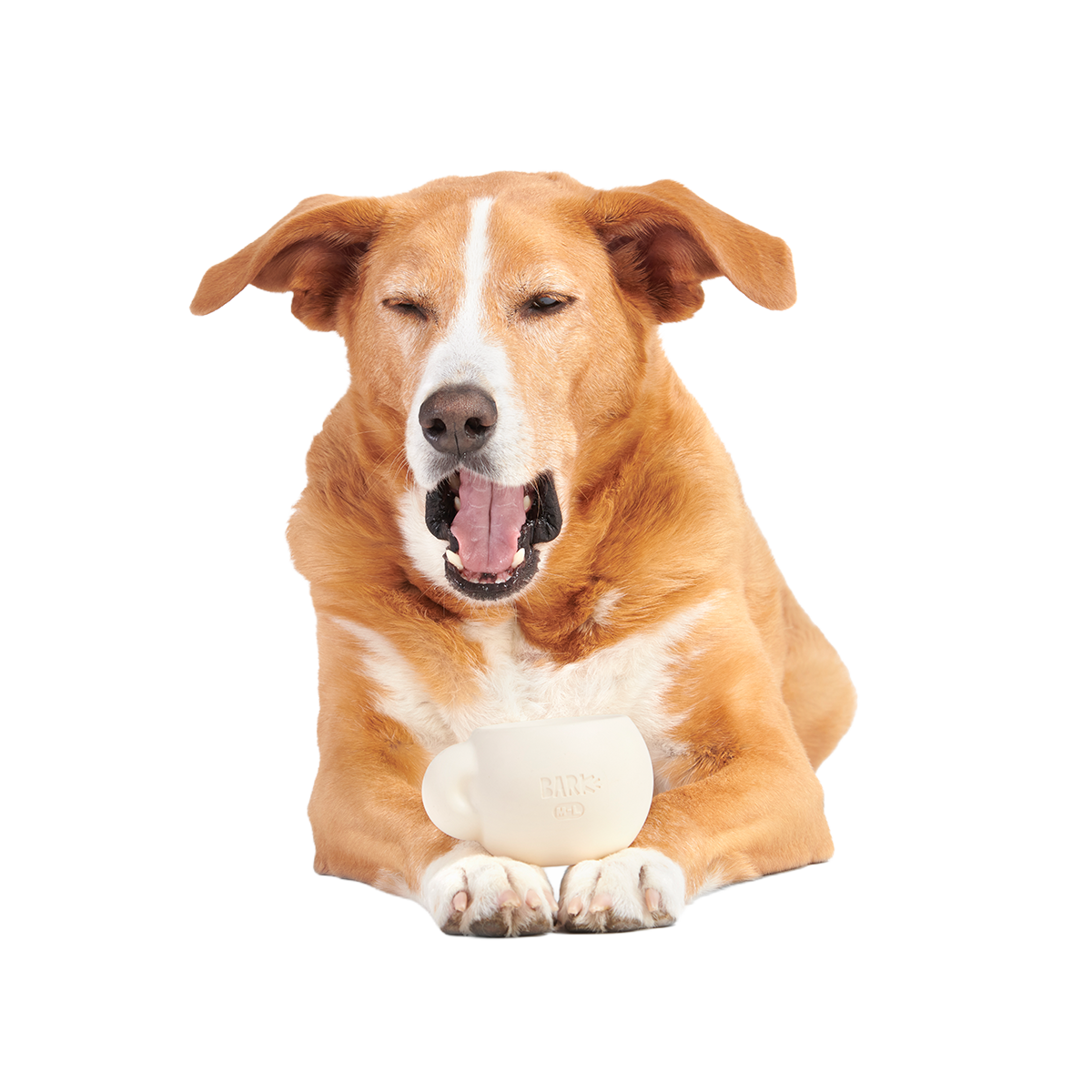 Yappucino Super Chewer Durable Enrichment Dog Toy - Image 5