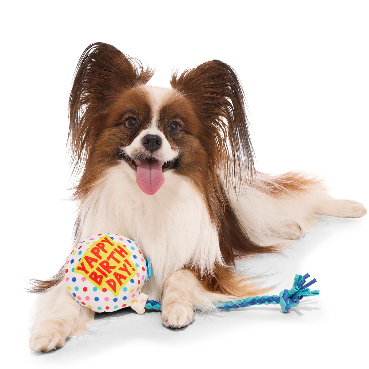 Yappy Birthday Balloon Plush Tug Dog Toy - Image 7