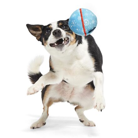Wripping Pupper Ball Durable Super Chewer 2-in-1 Rip and Reveal Dog Toy - Image 6