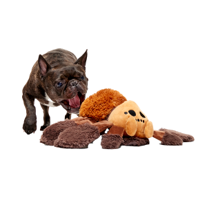 Aragog™ Plush Extra-Large + Tug Dog Toy