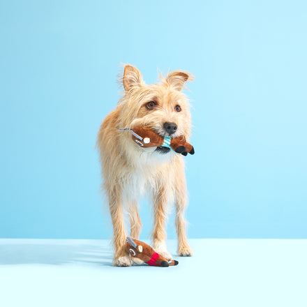 Ruby & Scarlet Multipart Plush Multi-Part Dog Toy - Image 2