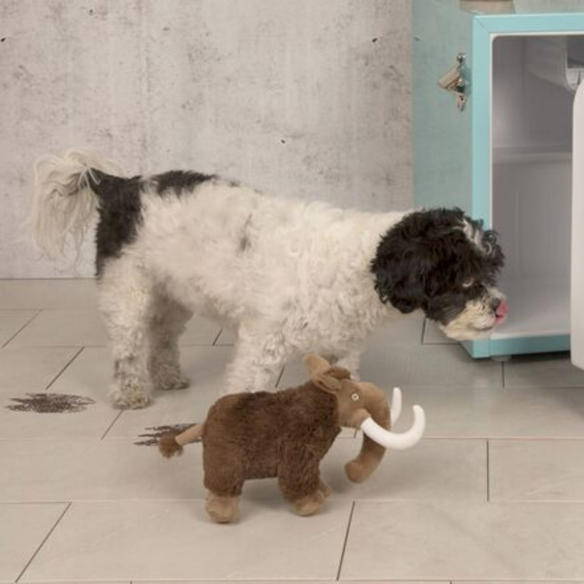 Winston the Wooly Mammoth Plush Tug Dog Toy - Image 3