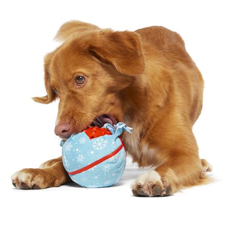 Wripping Pupper Ball Durable Super Chewer 2-in-1 Rip and Reveal Dog Toy - Image 7