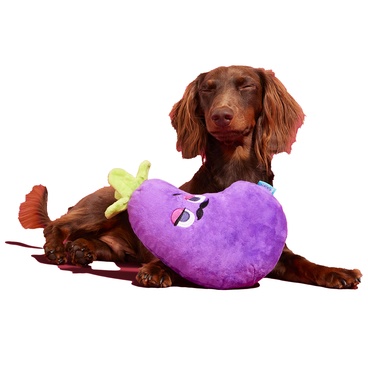 Big Babbo Plush Tug Dog Toy - Image 2