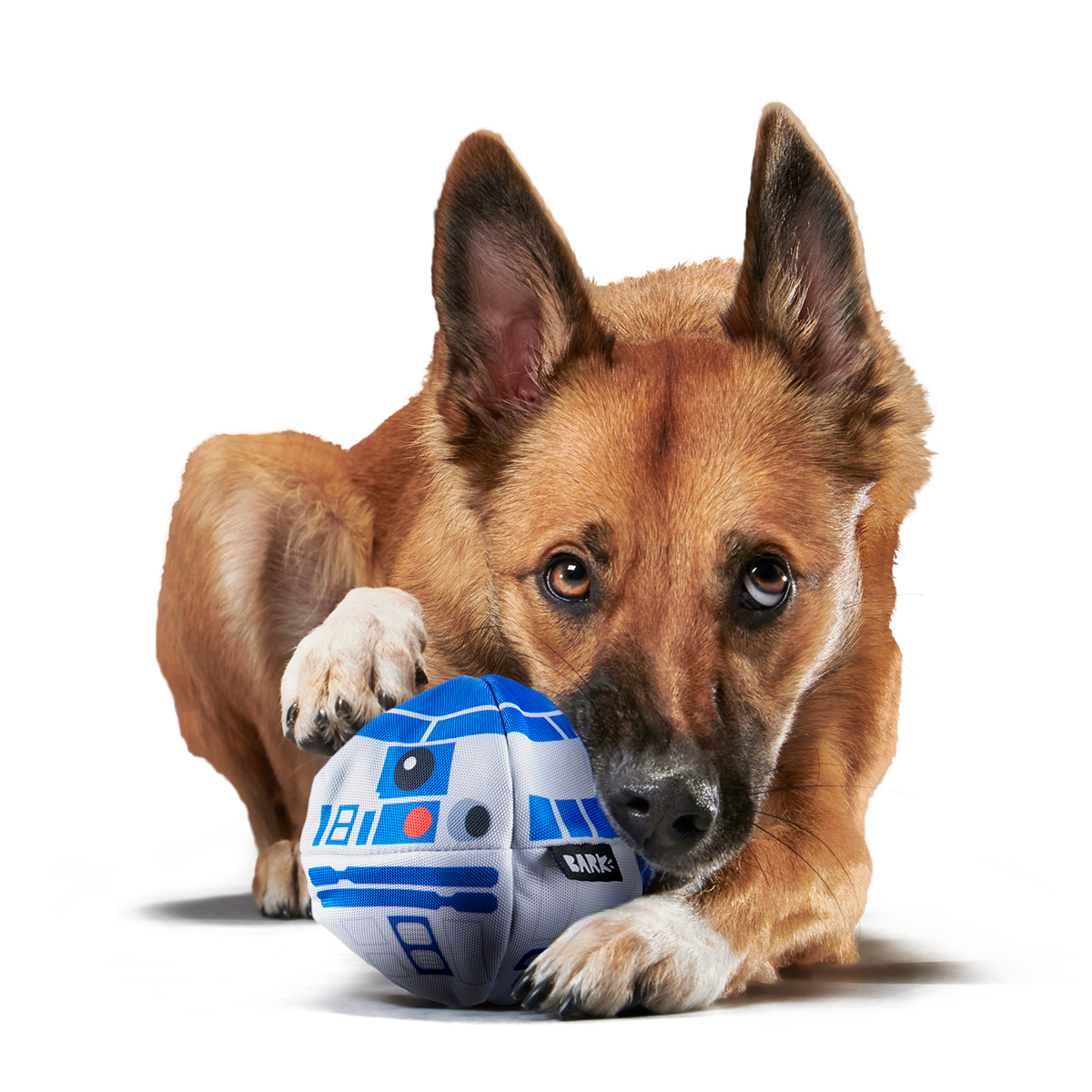 Chew Are My Only Hope Super Chewer Durable 2-in-1 + Fetch Dog Toy - Image 4