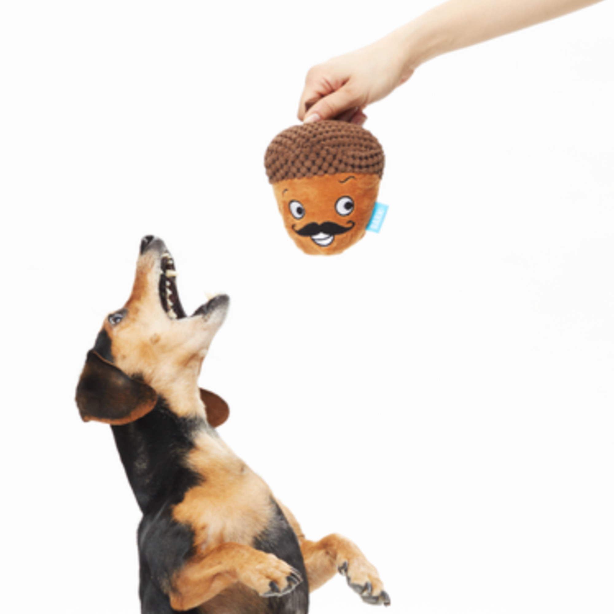 Monsieur Acorn Plush 2-in-1 Rip and Reveal Dog Toy - Image 2
