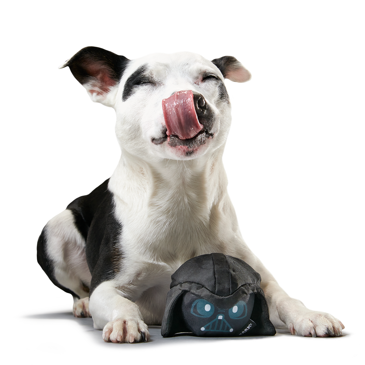 Power of the Bark Side Super Chewer Durable 2-in-1 + Fetch Dog Toy - Image 4
