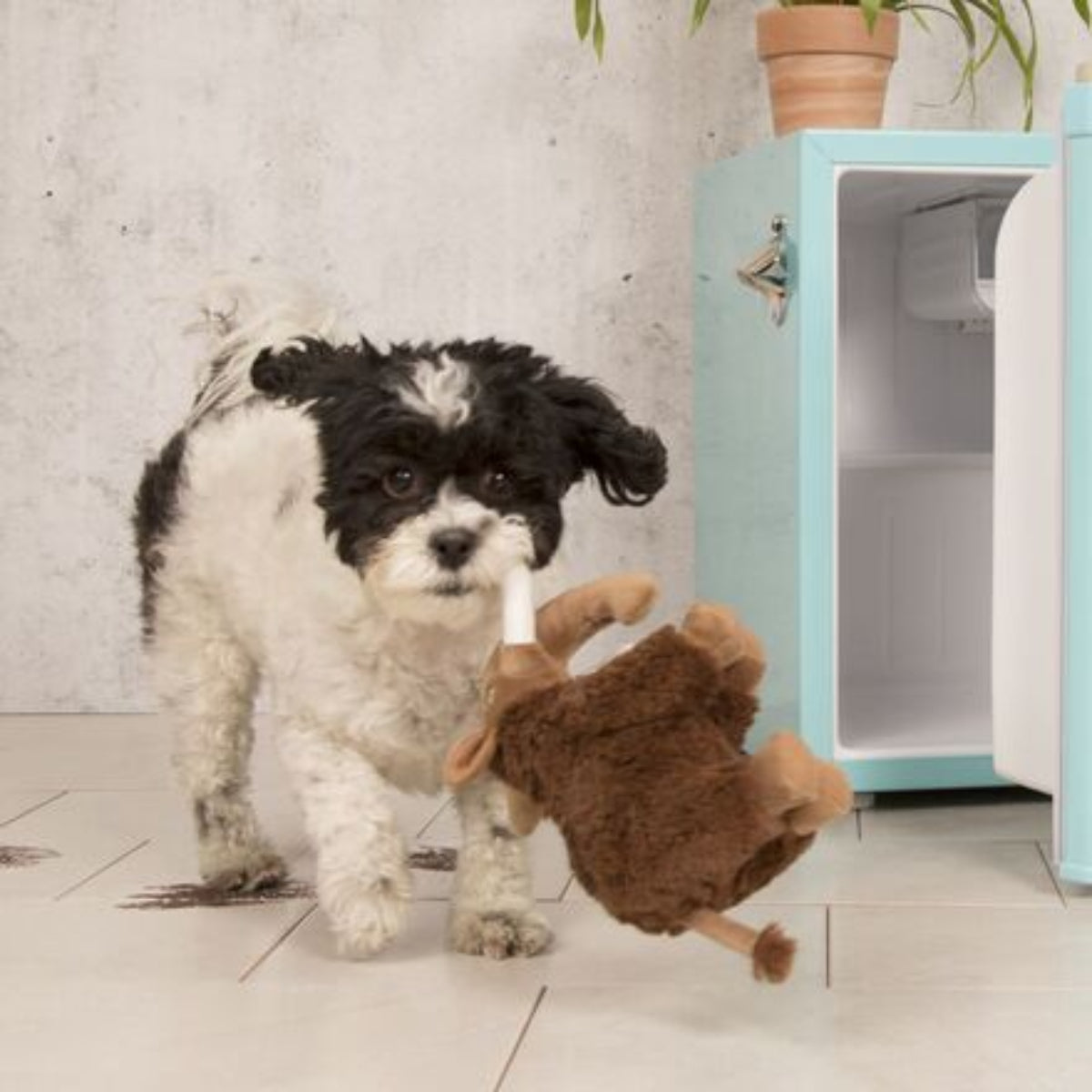 Winston the Wooly Mammoth Plush Tug Dog Toy - Image 4
