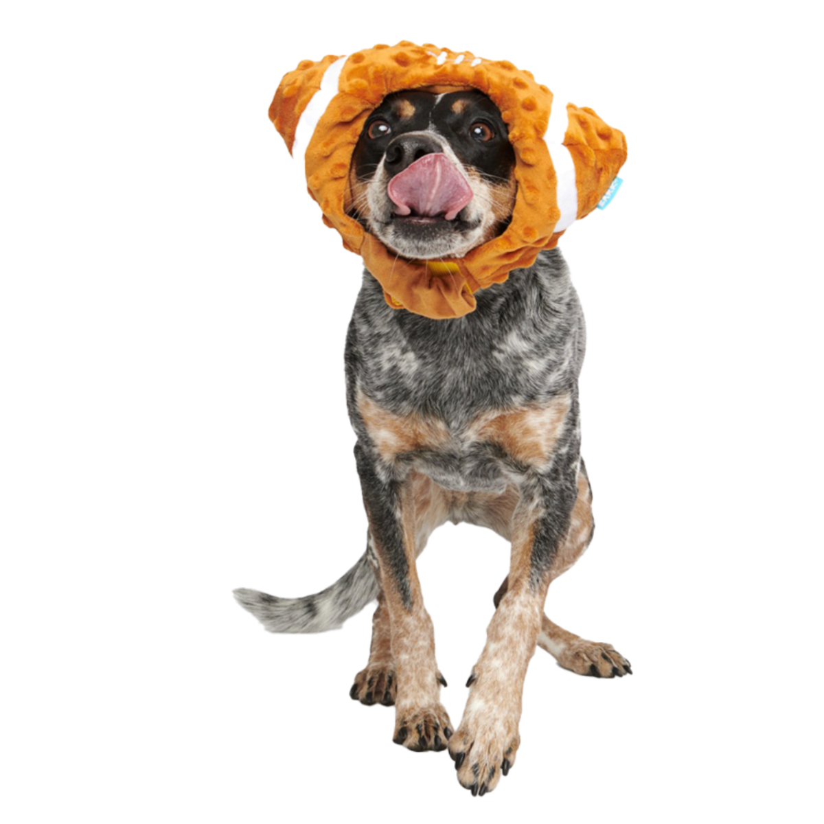 Football Head Plush Wearable Dog Toy - Image 3