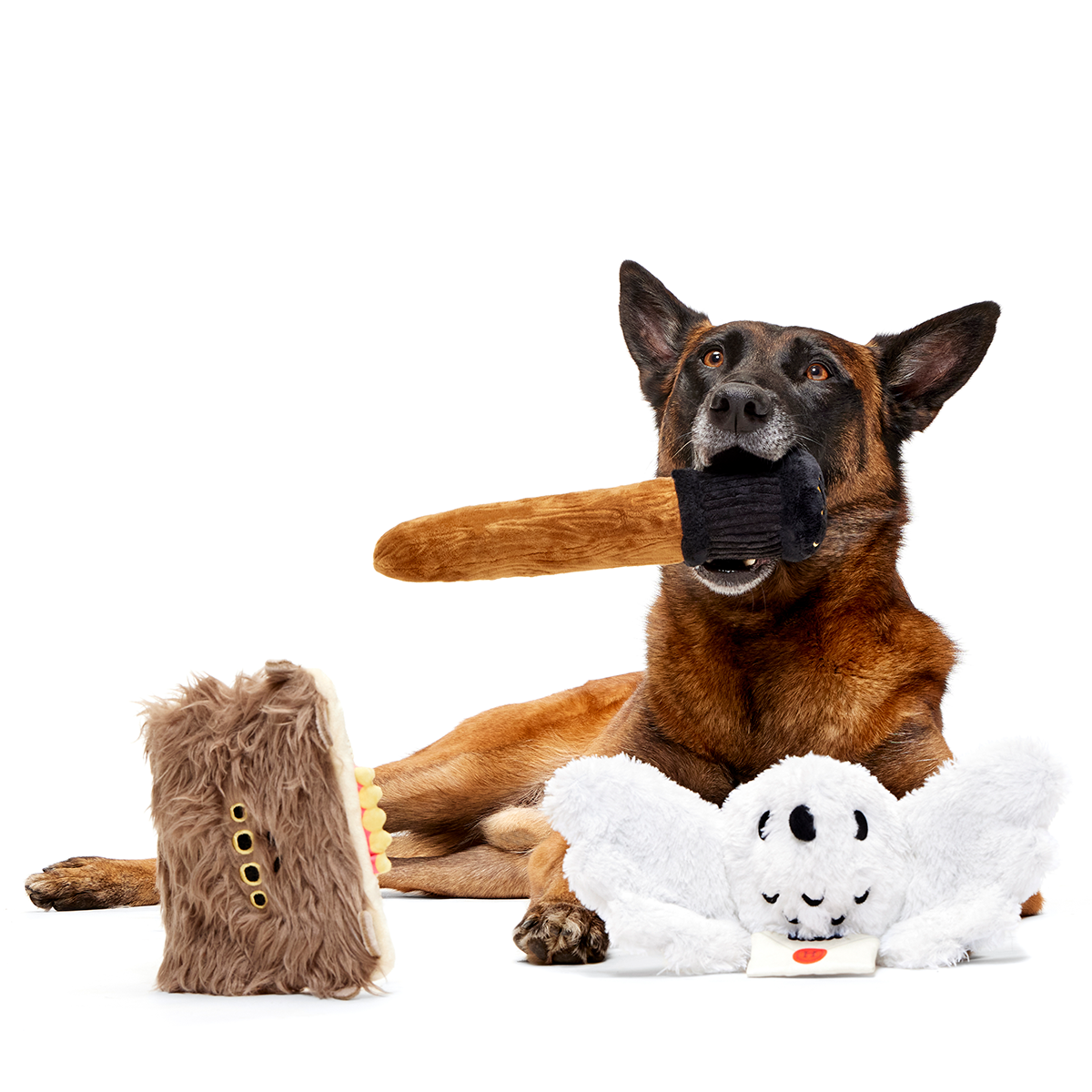 HARRY POTTER™ BarkBox - One Month Gift Box - Image 6