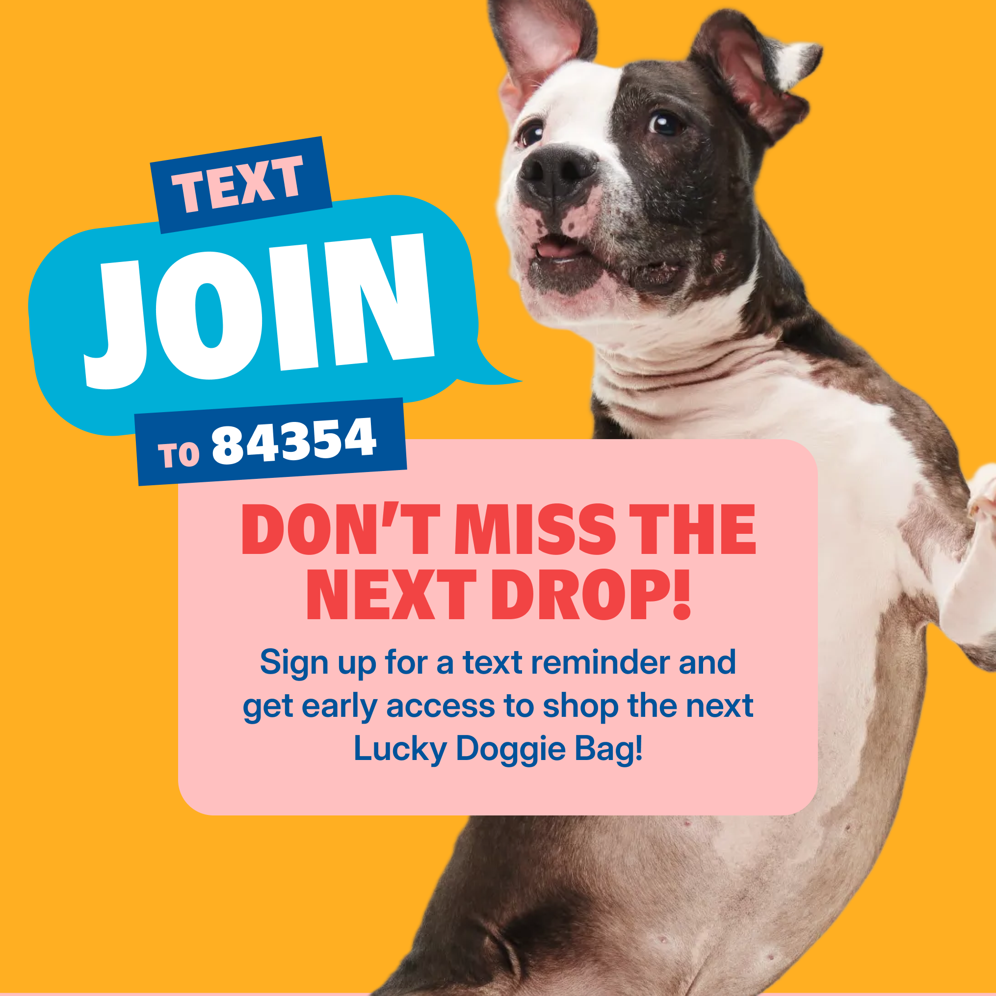 Lucky Doggie Bag - Image 4