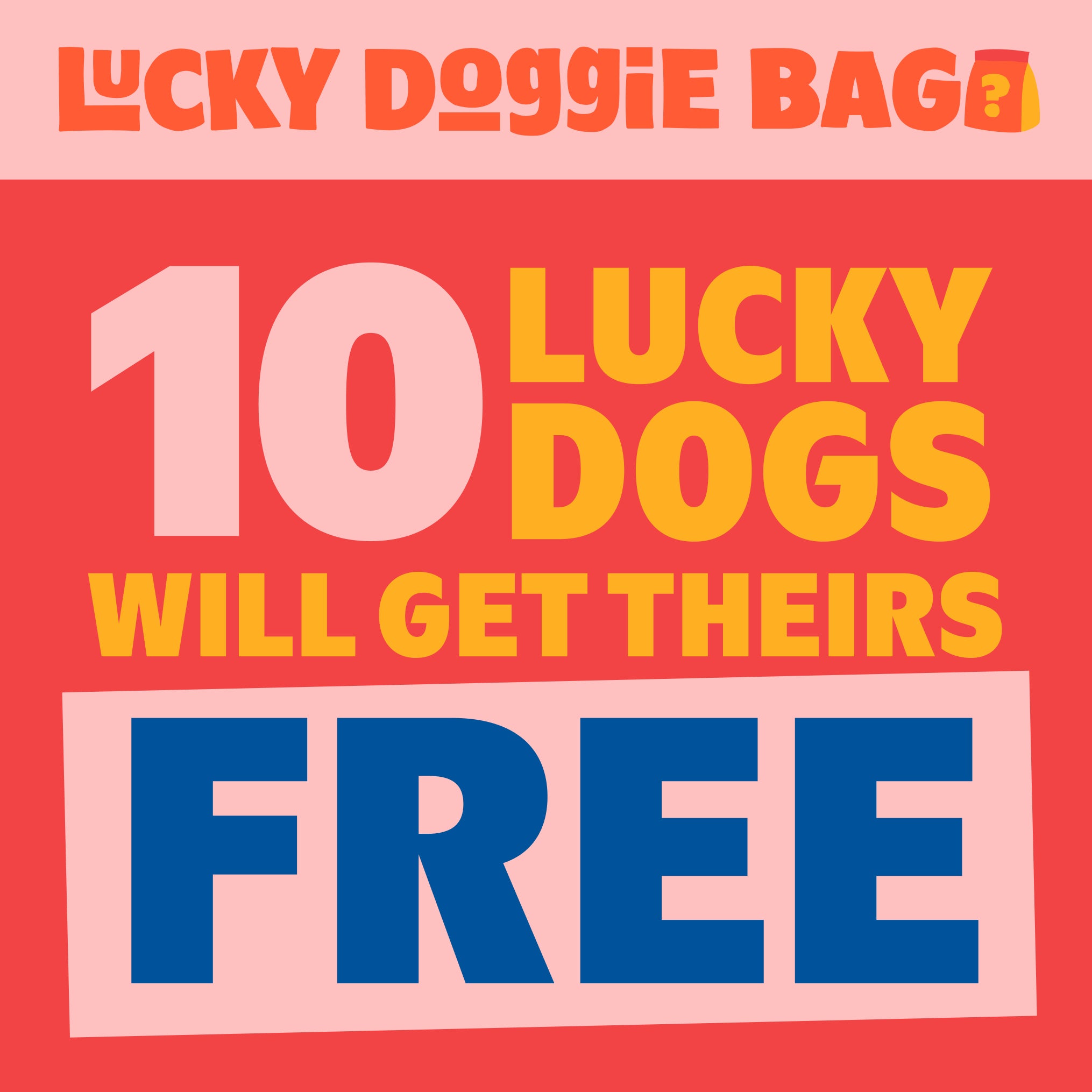 Lucky Doggie Bag - Image 5
