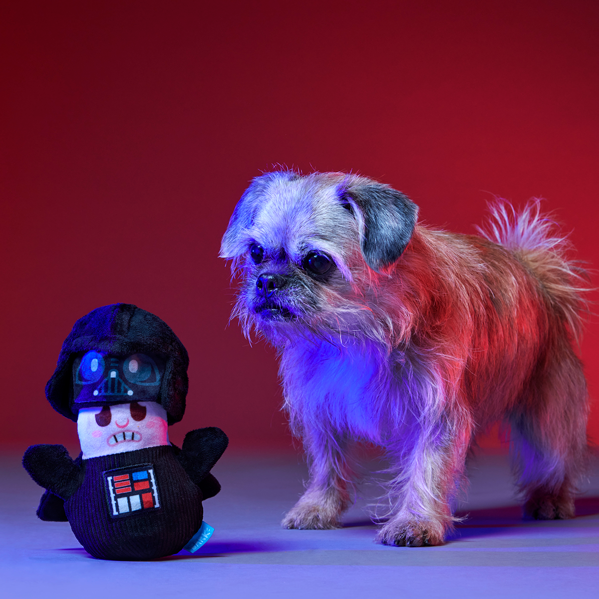 Star Wars™ BarkBox - One Month Gift Box - Image 6