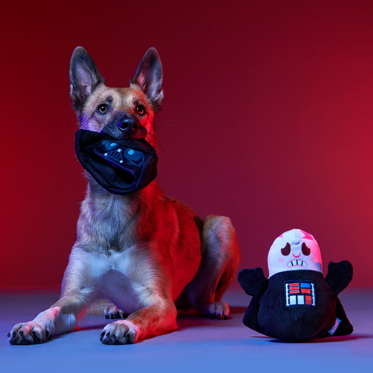 Star Wars™ BarkBox - One Month Gift Box - Image 5