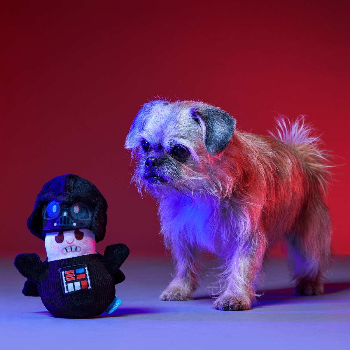 Obey Your Master Plush Multi-Part Dog Toy - Image 6