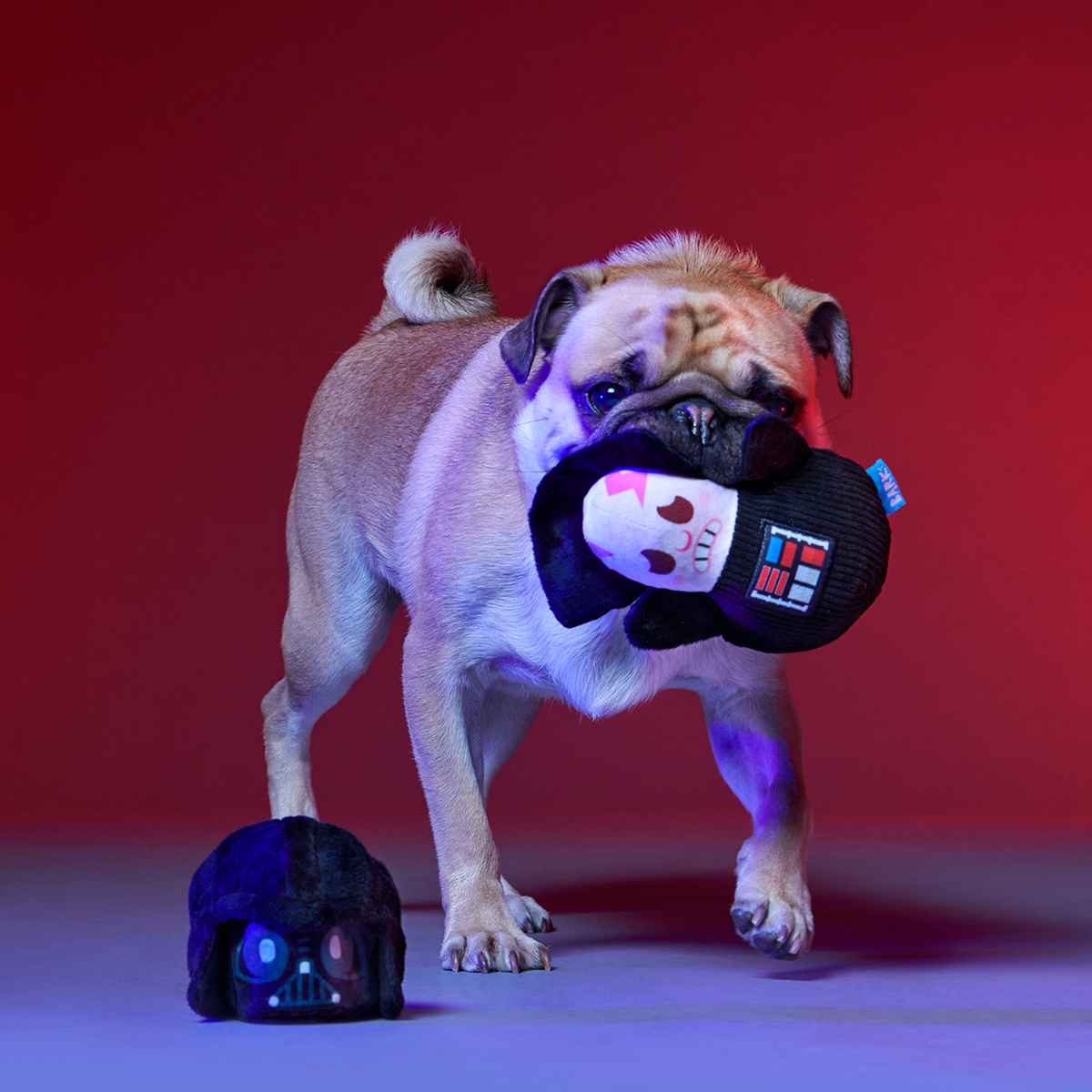 Obey Your Master Plush Multi-Part Dog Toy - Image 5