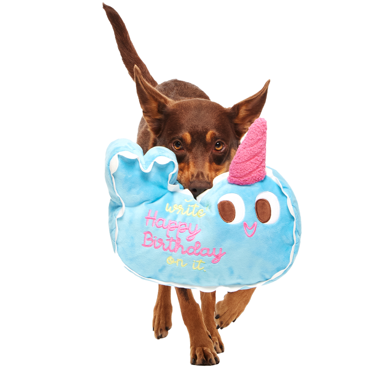 Pudgy the Narwhal Cake Plush Extra-Large Dog Toy