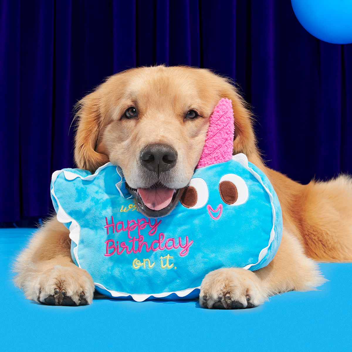 Pudgy the Narwhal Cake Plush Extra-Large Dog Toy - Image 5