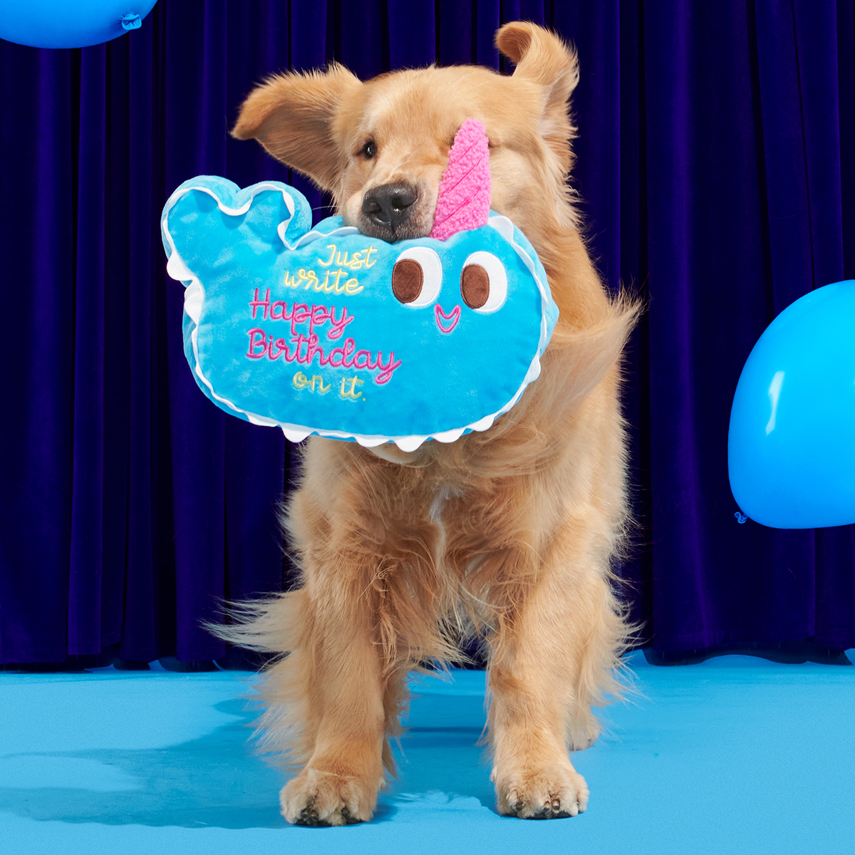 Pudgy the Narwhal Cake Plush Extra-Large Dog Toy - Image 6