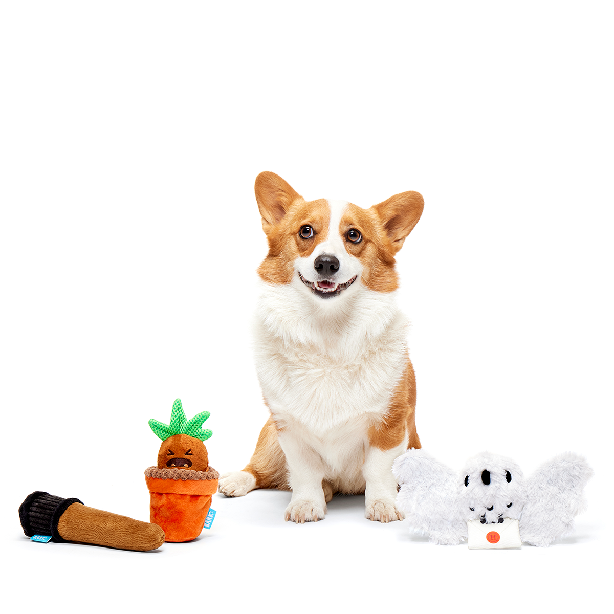 HARRY POTTER™ BarkBox - One Month Gift Box - Image 4