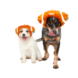 Football Head Plush Wearable Dog Toy